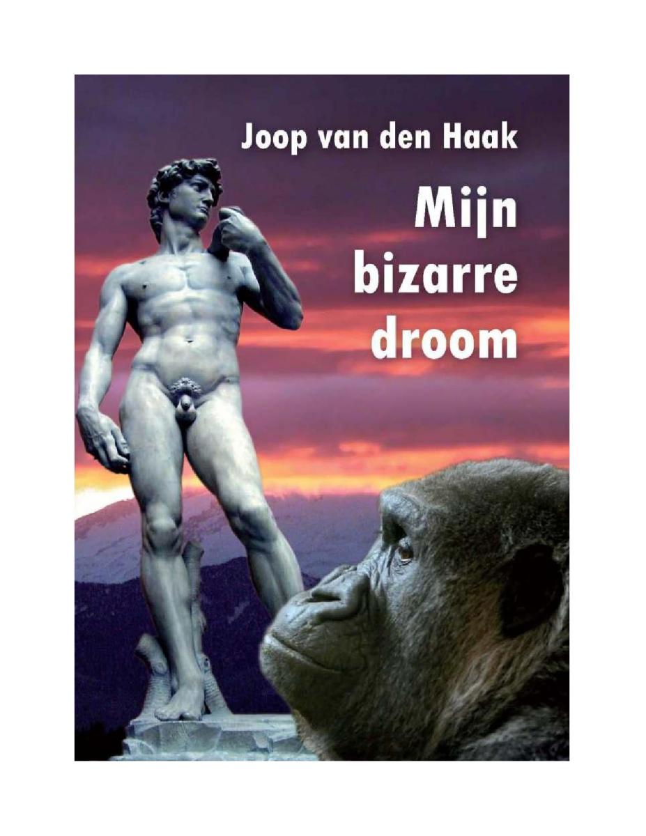 Mijn Bizarre Droom