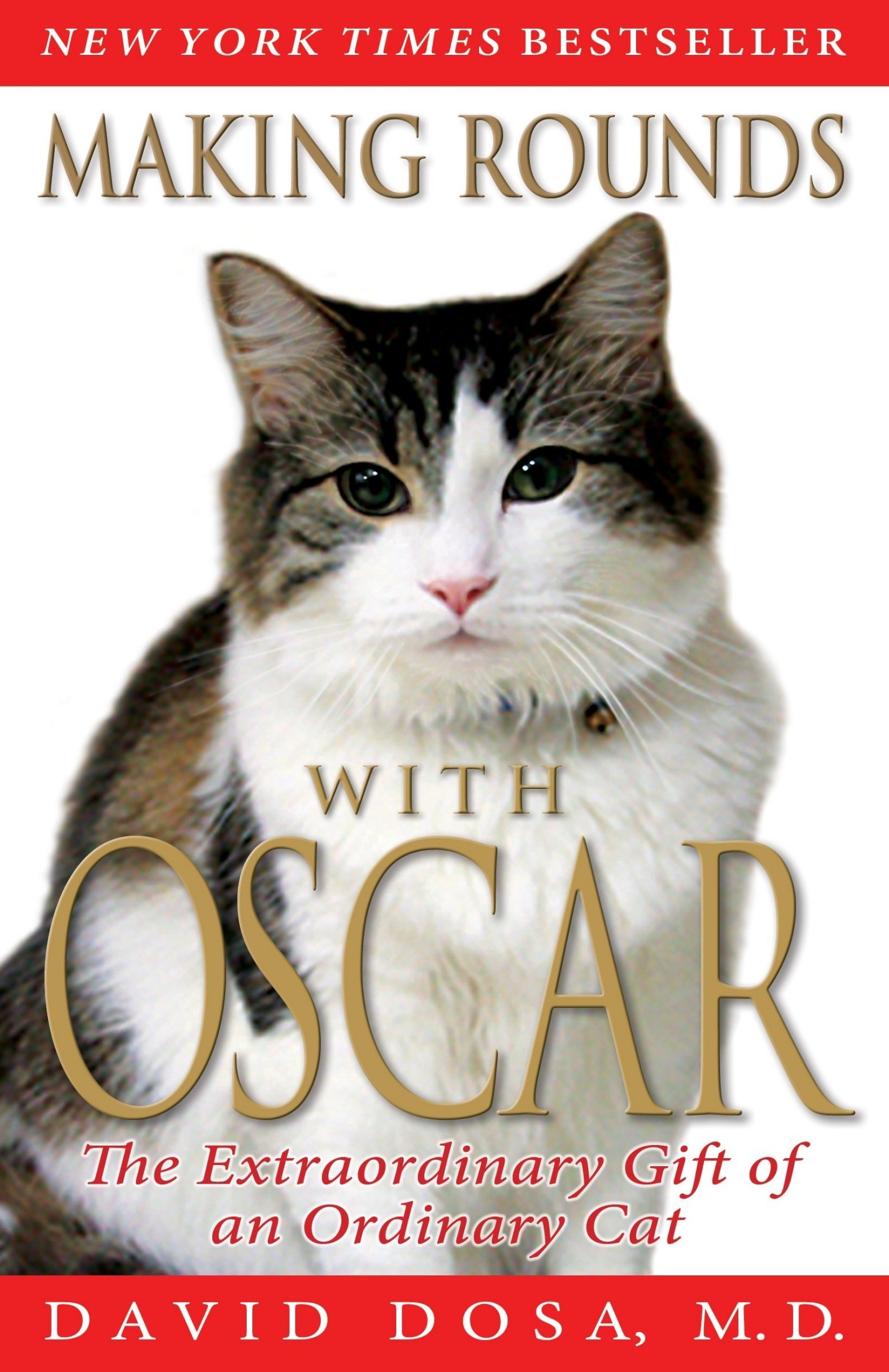 Making Rounds With Oscar: The Extraordinary Gift of an Ordinary Cat