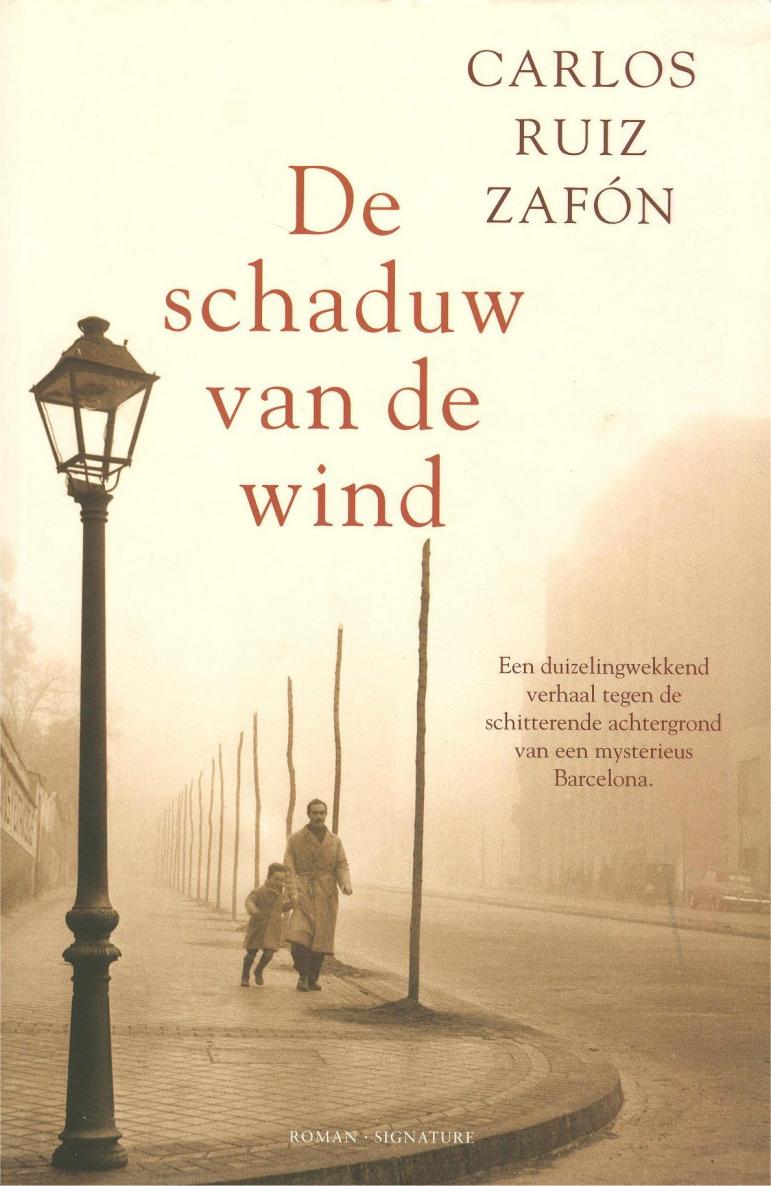 De Schaduw Van De Wind