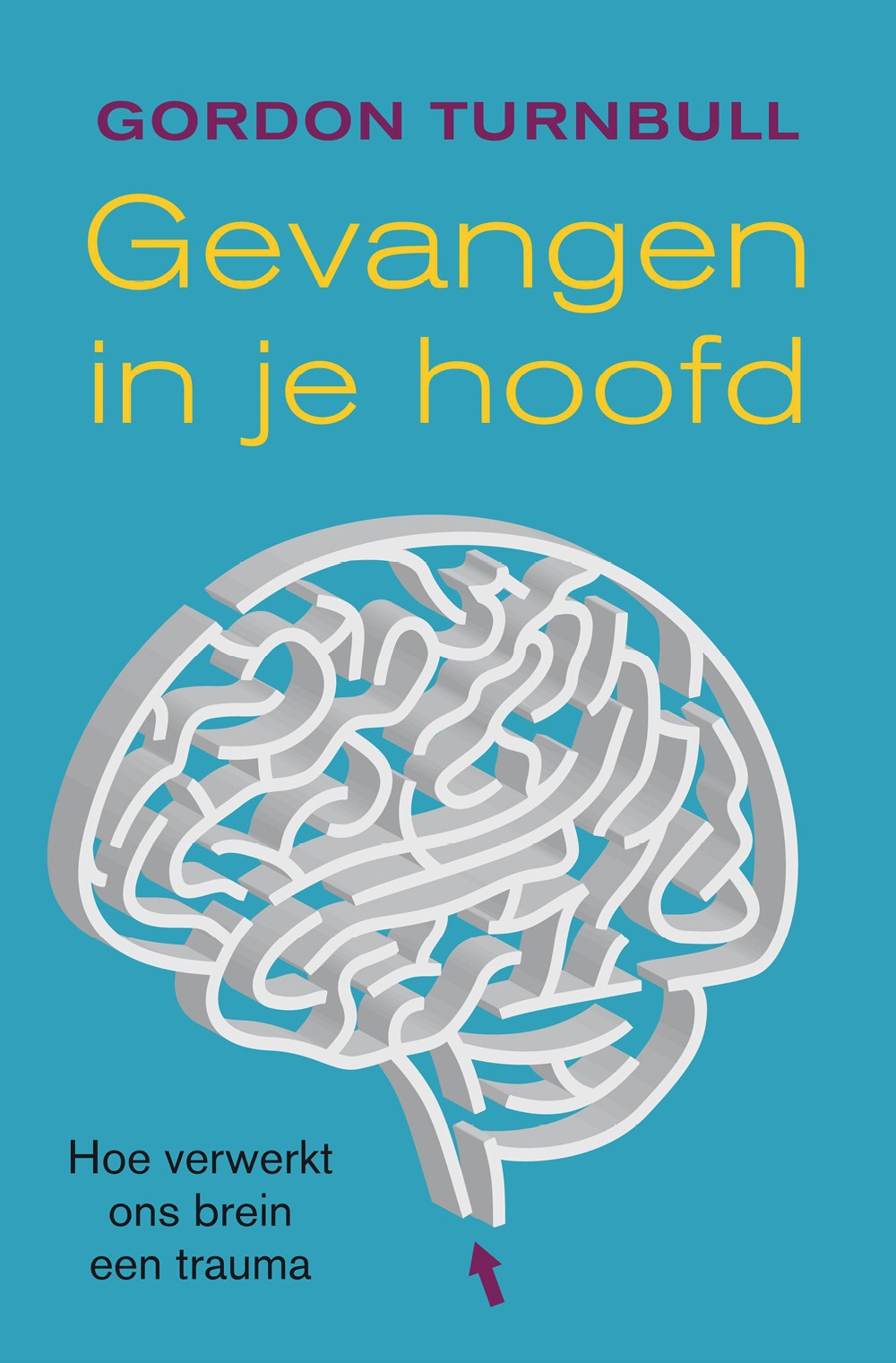 Gevangen in je hoofd