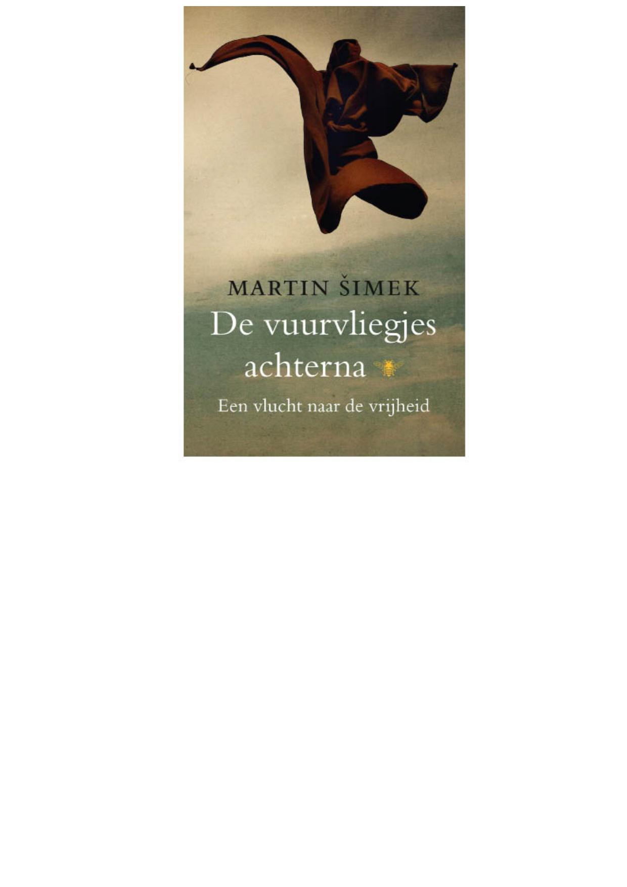 De vuurvliegjes achterna