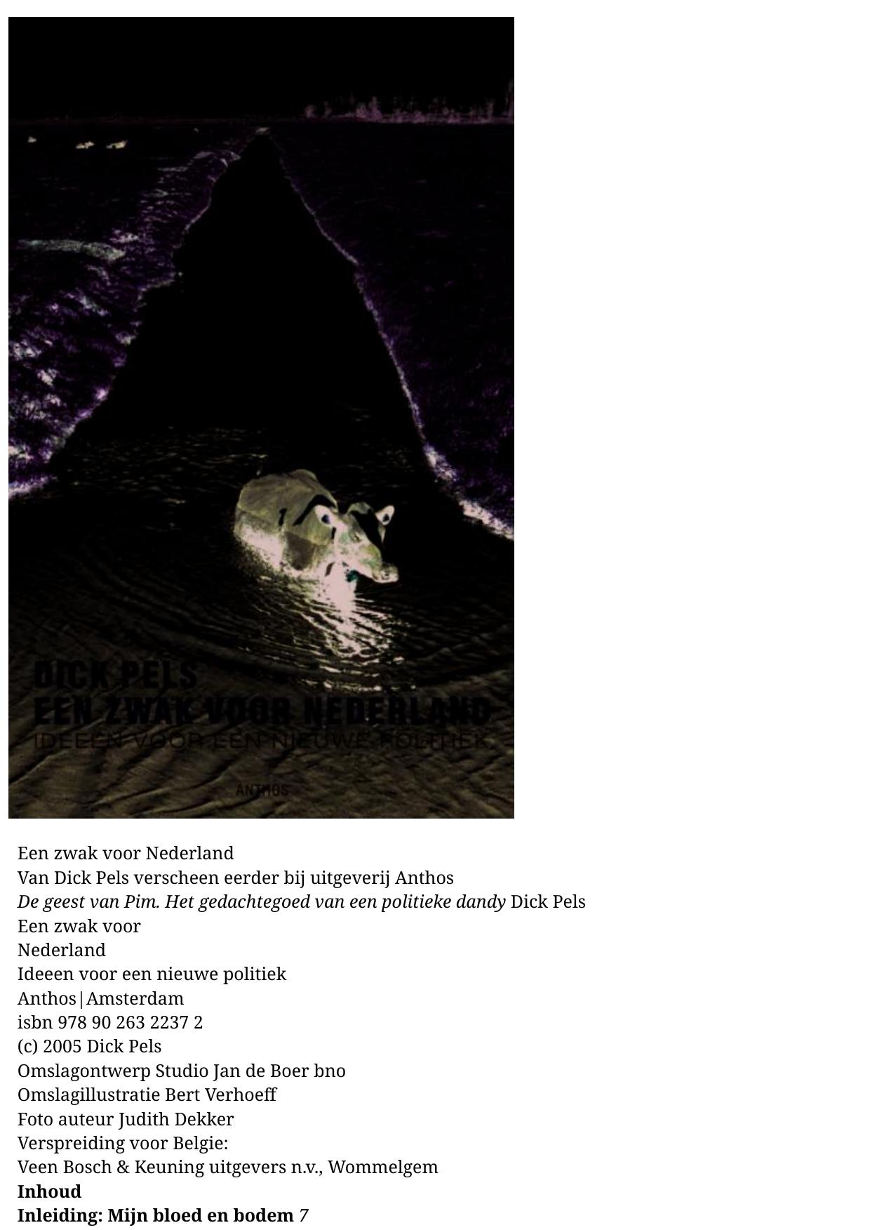 Een zwak voor Nederland: ideeën voor een nieuwe politiek