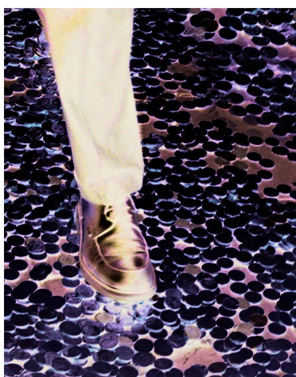 De economie van de eer