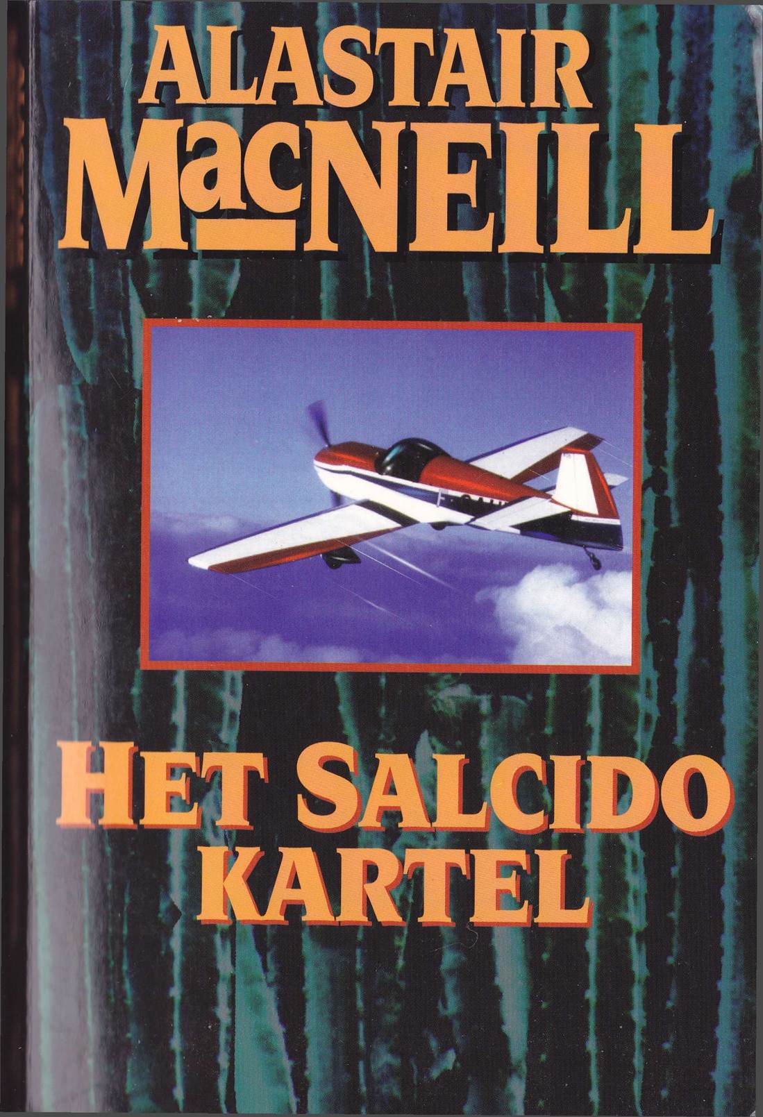 Het Salcido Kartel