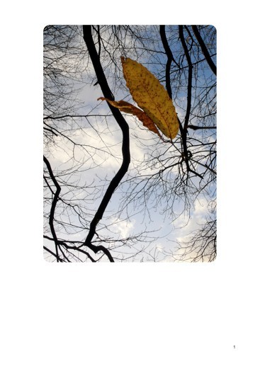 het pennetje serie 1 week 5