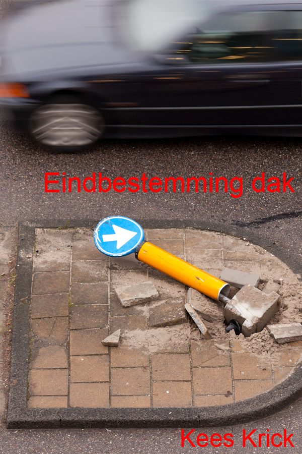 Eindbestemming dak