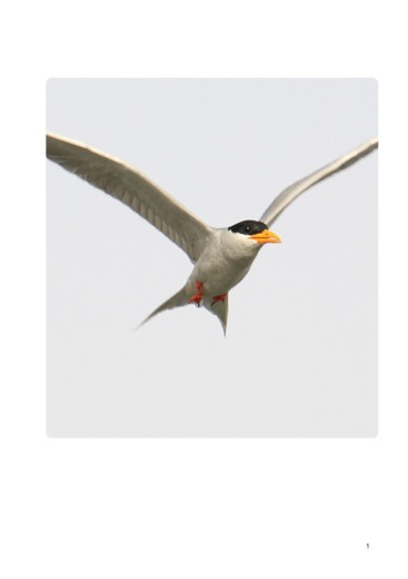 het pennetje serie 1 week 4