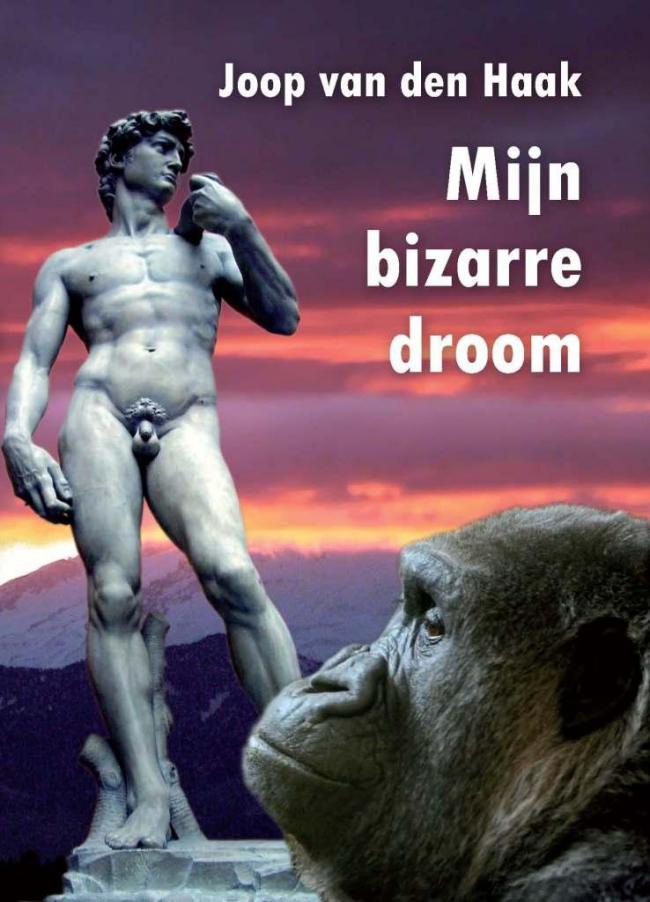 Mijn Bizarre Droom