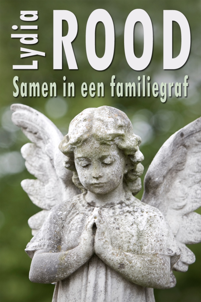 Samen in een familiegraf - Lydia Rood