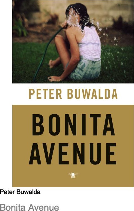 Bonita Avenue: roman