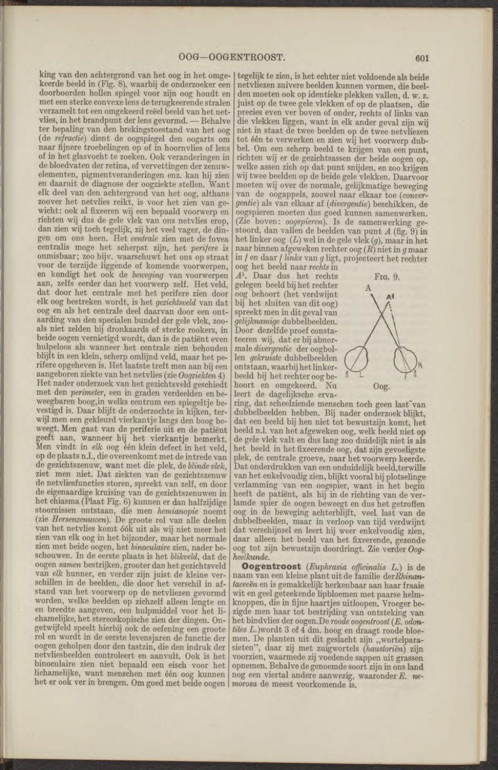 Steden doorkruisen het heelal