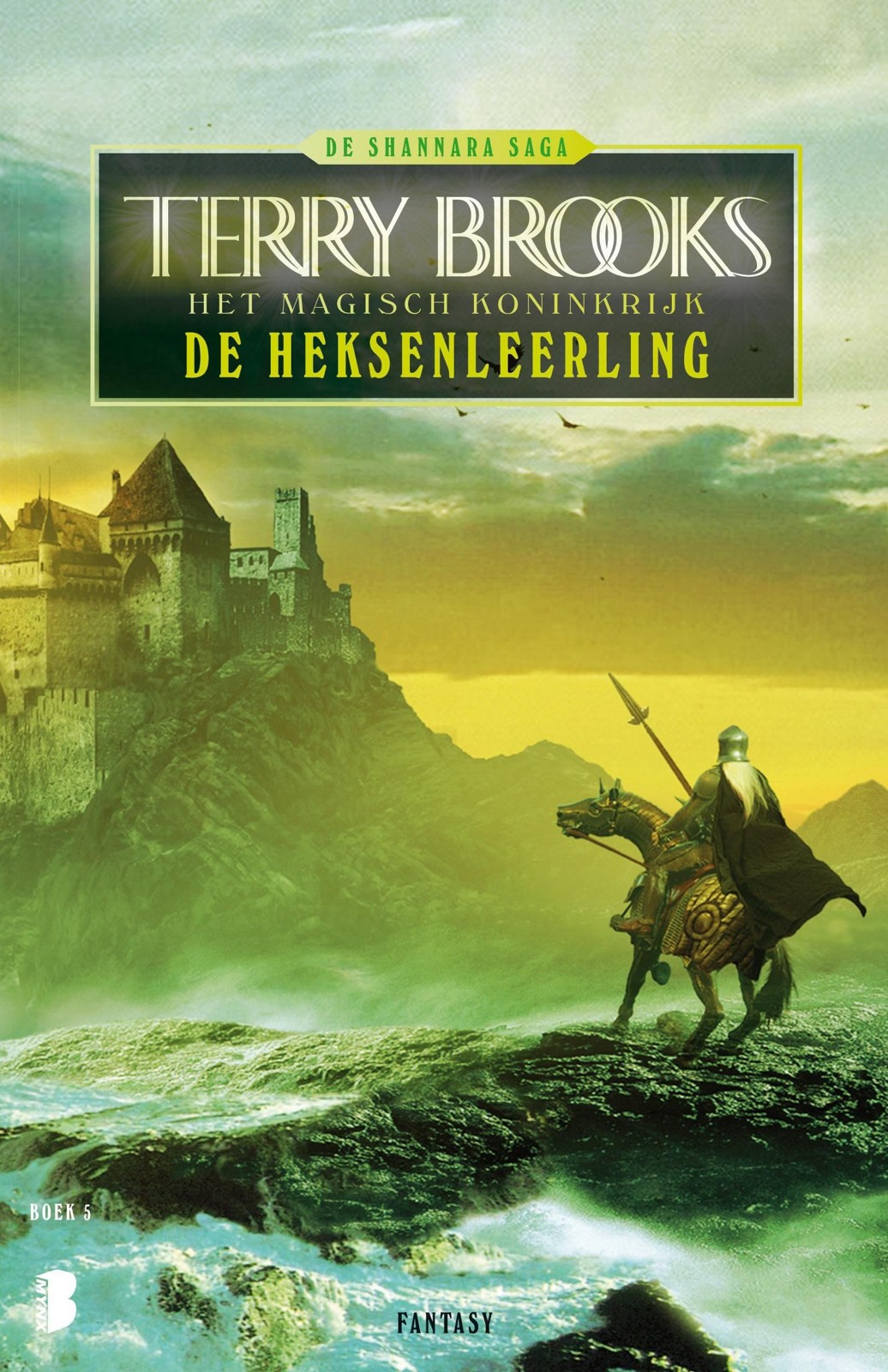 Het Magisch Koninkrijk 5 - De heksenleerling