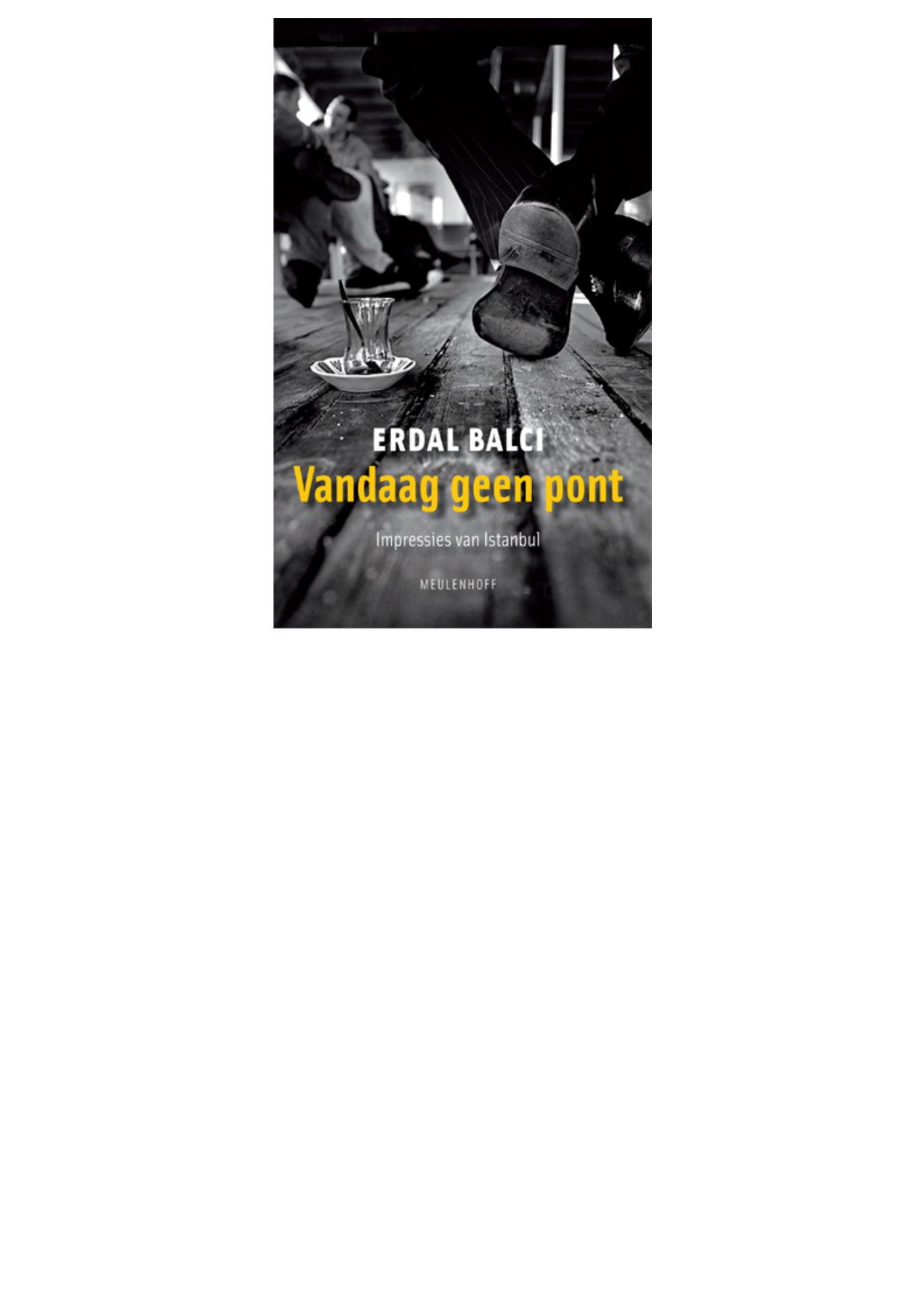 Vandaag geen pont: impressie van Istanbul