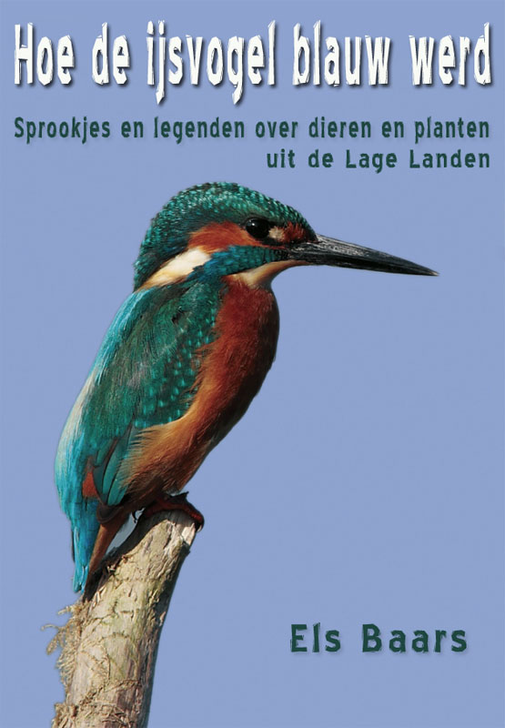 Hoe de ijsvogel blauw werd