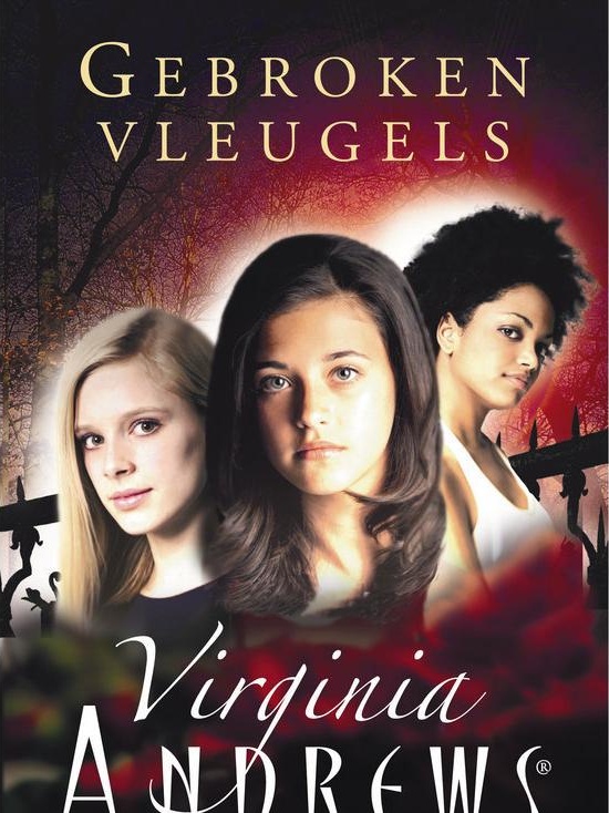 Gebroken vleugels 01 - Gebroken vleugels